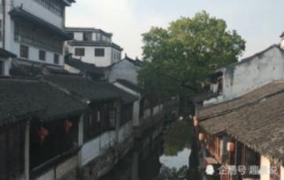 不请自来的客人